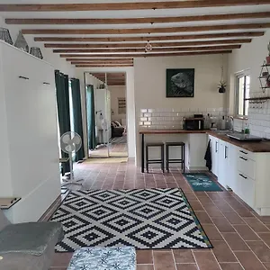 Appartement Chez Chapelle In The Heart Of The Gascony With Pool, Pets Welcome!, Auch
